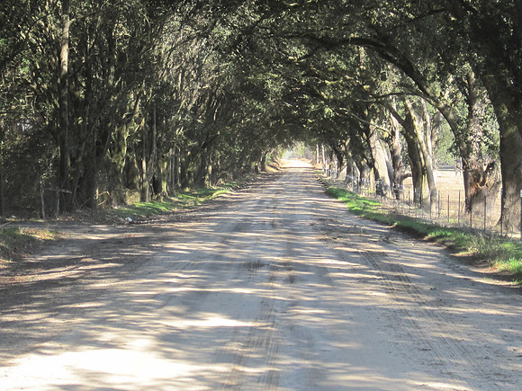 Hopeful Park Road - Hopeful GA