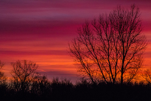 Sweet Sunrise