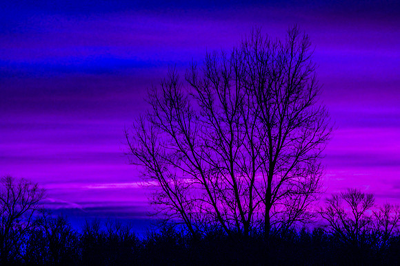 Winter Blues